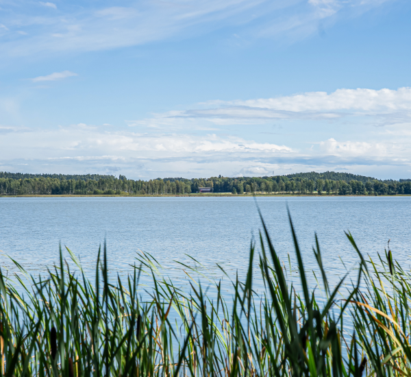 Kangasalan Vesi tehosti saatavienhallintaansa Amili Kassavirta -palvelulla.