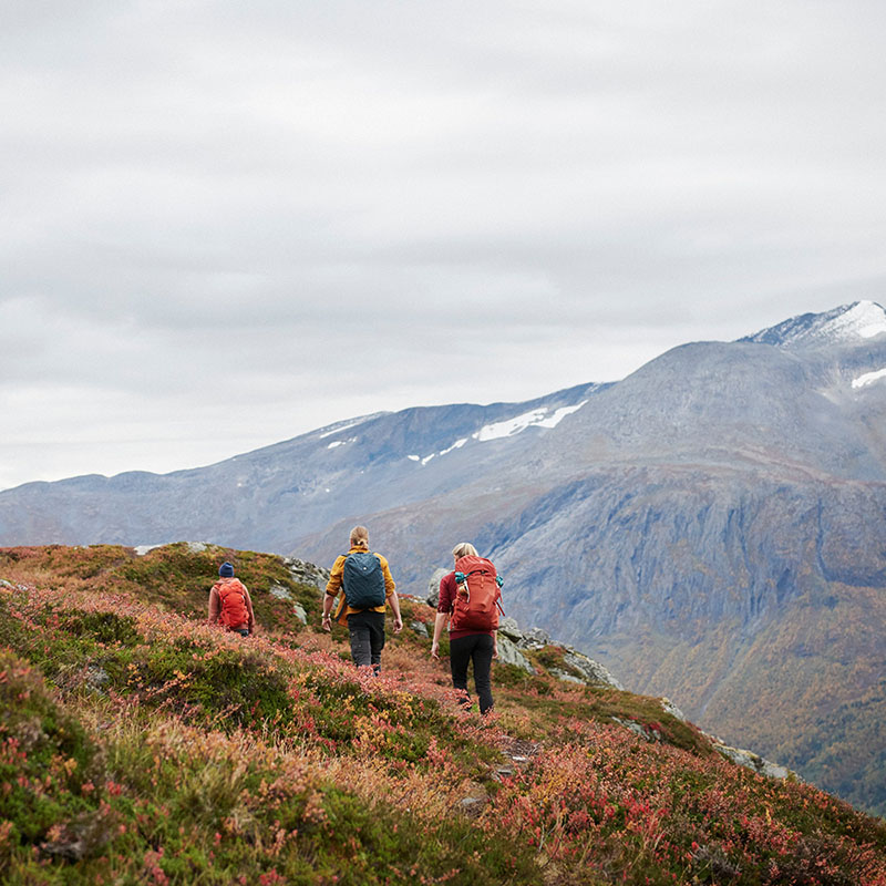 Visma-Norway-22_1503 (2)